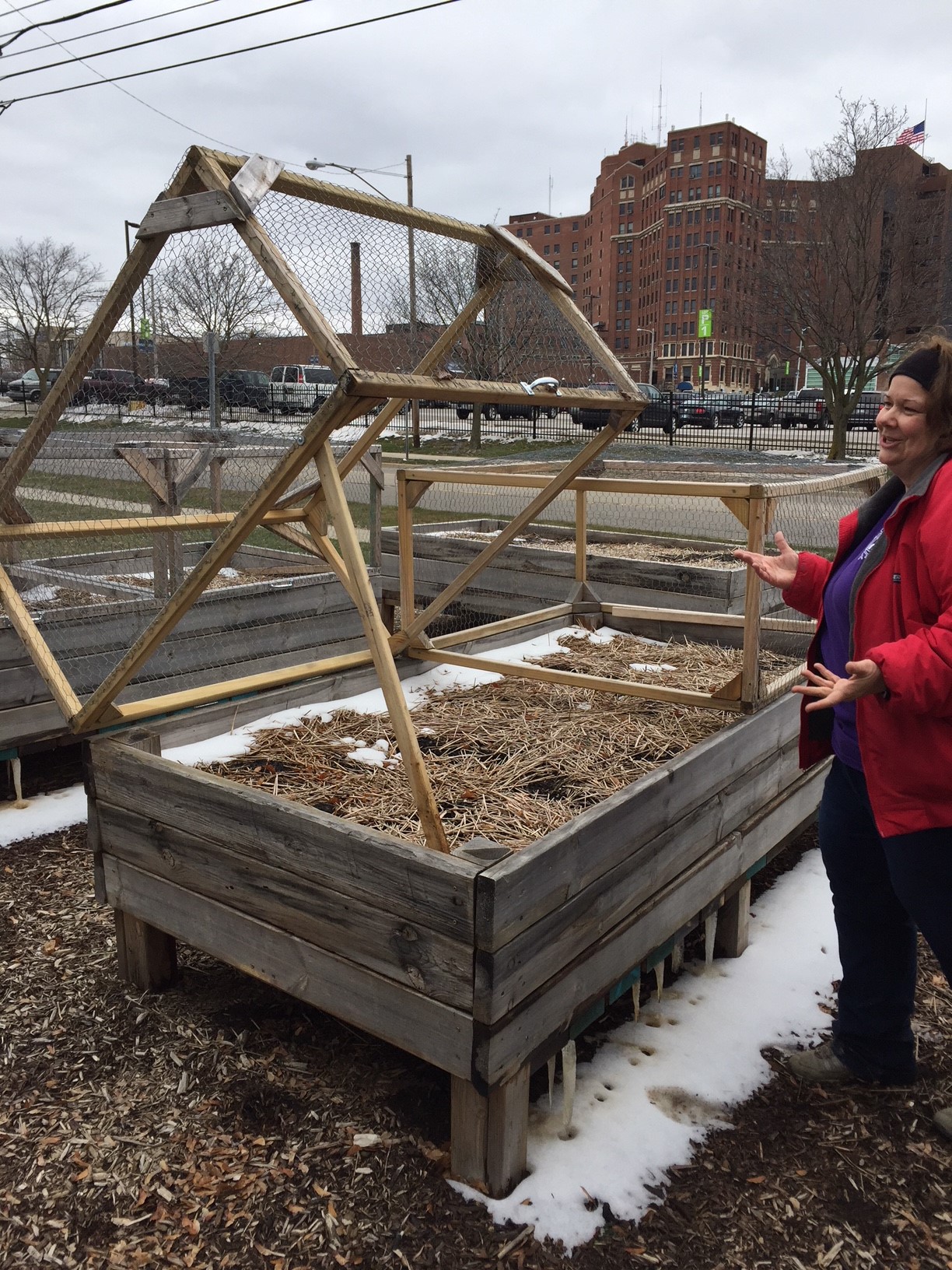 Edible Flint raised beds